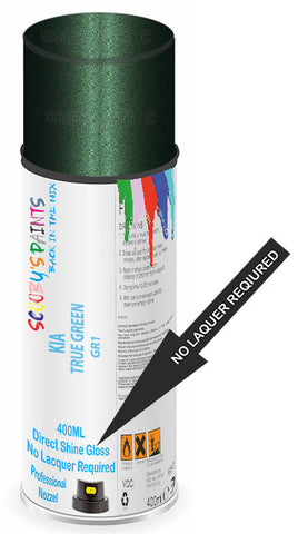 paint for Kia Rio