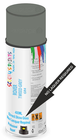 paint for ROVER 