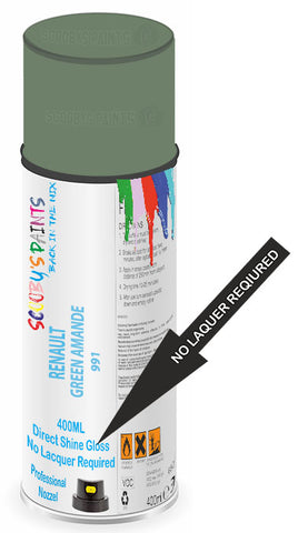 paint for Renault R25