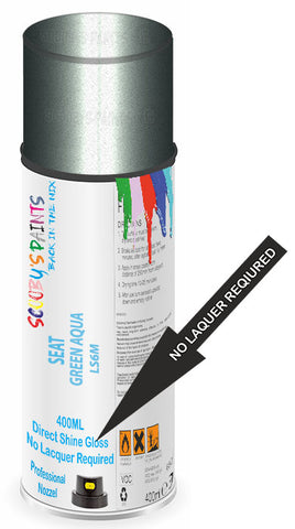 paint for Seat Inca