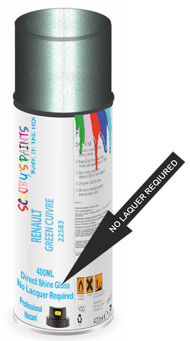 paint for Renault Megane