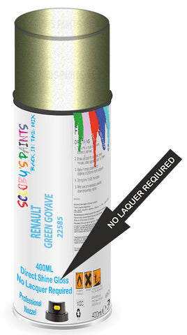 paint for Renault Megane Scenic