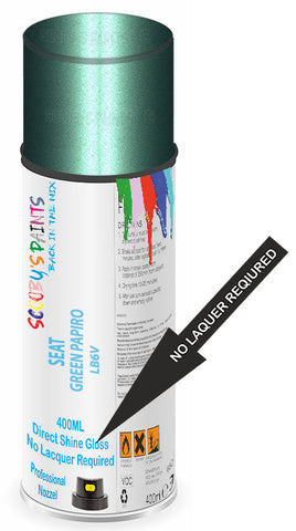 paint for Seat Mii