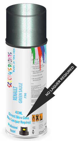 paint for Renault Twingo