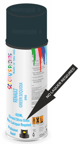 paint for Renault R19