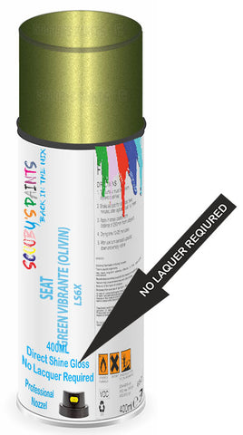 paint for Seat Inca