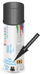 paint for Renault R16