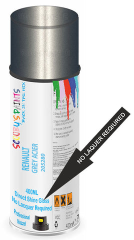 paint for Renault Twingo