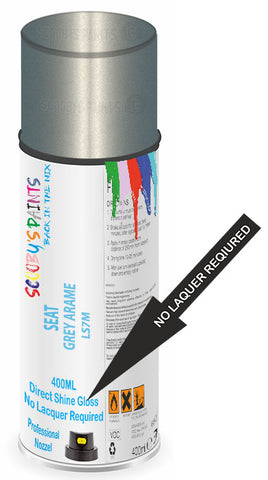 paint for Seat Ibiza St