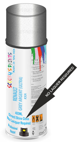 paint for RENAULT LATITUDE