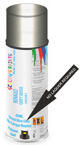 paint for Renault Megane