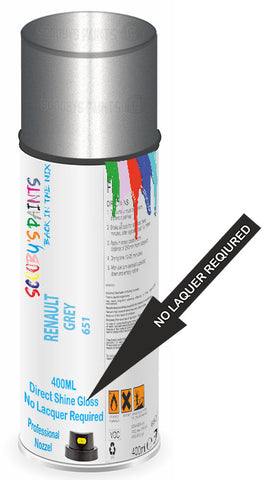 paint for Renault R6