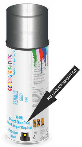 paint for Renault R9