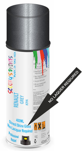 paint for Renault Master