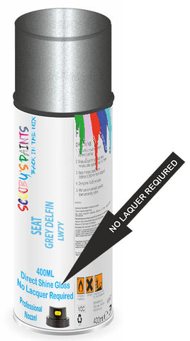 paint for Seat Exeo