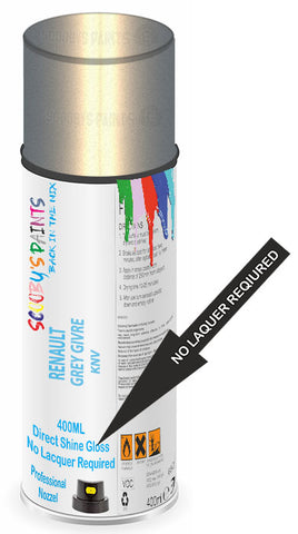 paint for RENAULT ZOE
