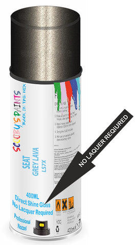 paint for Seat Toledo