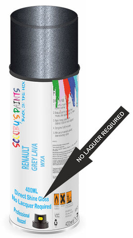 paint for Renault Latitude