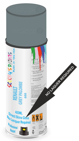paint for Renault Master