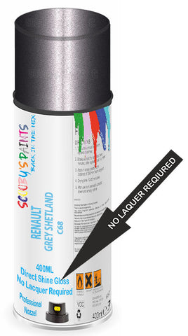 paint for Renault Megane Scenic