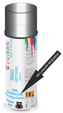 paint for Renault Master