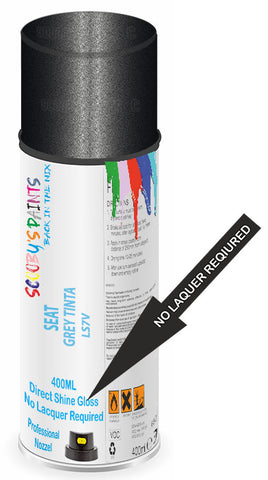 paint for Seat Alhambra