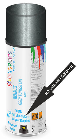 paint for Renault R19
