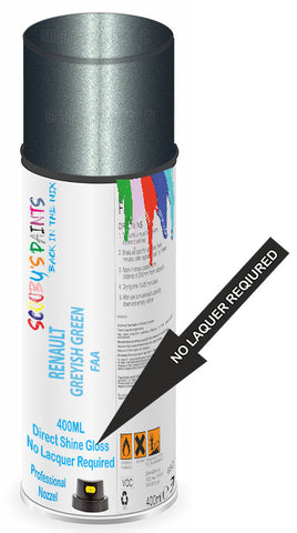 paint for RENAULT PULSE