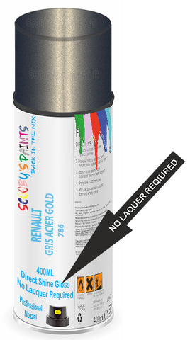 paint for Renault Megane Scenic