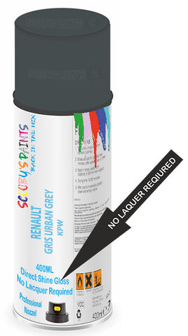 paint for RENAULT SCENIC