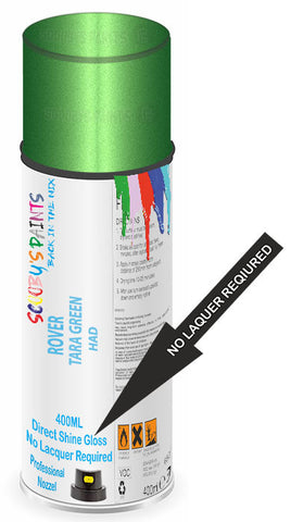 paint for ROVER TR8