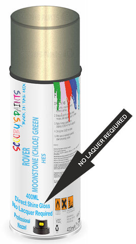 paint for ROVER MGZT