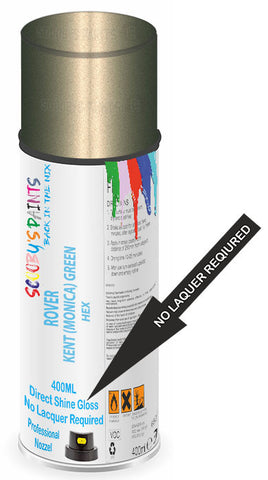 paint for ROVER 