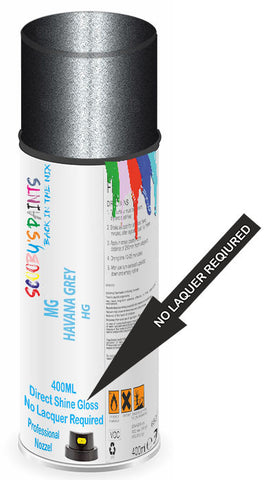 paint for MG 