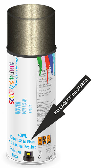 paint for ROVER 800
