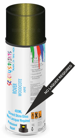 paint for ROVER MG