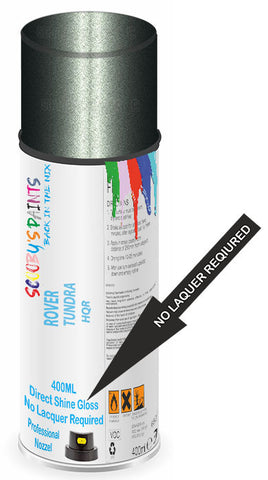 paint for ROVER 
