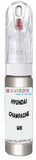 10ml–30ml touch-up kit for Hyundai Santro chips and scratches, precise colour match to Champagne Silver Metallic Wk