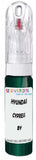 10ml–30ml touch-up kit for Hyundai Sonata chips and scratches, precise colour match to Cypress Green Pearl By