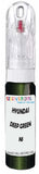 10ml–30ml touch-up kit for Hyundai Entourage chips and scratches, precise colour match to Deep Green Pearl Ns