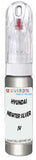 10ml–30ml touch-up kit for Hyundai Santro chips and scratches, precise colour match to Newter Silver Metallic Jv