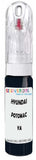 10ml–30ml touch-up kit for Hyundai Getz chips and scratches, precise colour match to Potomac Blue Ya