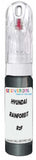 10ml–30ml touch-up kit for Hyundai Santa Fe chips and scratches, precise colour match to Rainforest Pearl Metallic R2F