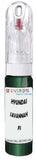 10ml–30ml touch-up kit for Hyundai Lantra chips and scratches, precise colour match to Savannah Green Mica Fs