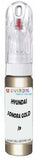 10ml–30ml touch-up kit for Hyundai Entourage chips and scratches, precise colour match to Sonora Gold Metallic J9