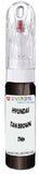 10ml–30ml touch-up kit for Hyundai H1 Travel chips and scratches, precise colour match to Tan Brown Pearl Metallic Tn9