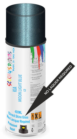 paint for Kia Soul
