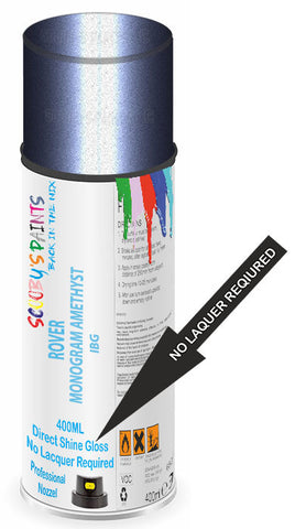 paint for ROVER 