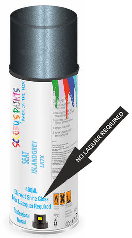 paint for Seat Leon St