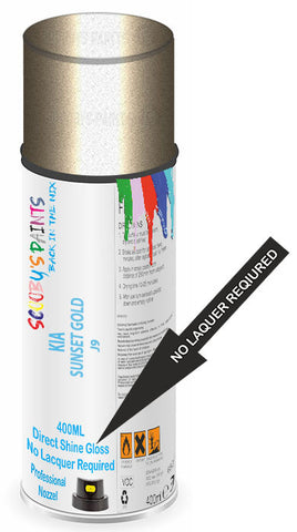 paint for Kia Sedona